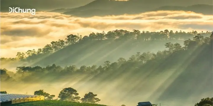 Đức Trọng Cách Đà Lạt Bao Nhiêu Km: Thông Tin Chi Tiết Và Hướng Dẫn Di Chuyển