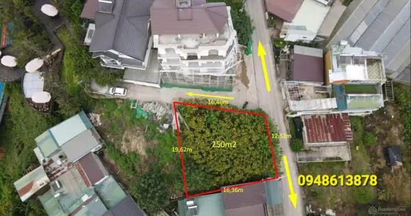 Khách Sạn Gần Đường Hoàng Hoa Thám Đà Lạt: Cẩm Nang Lựa Chọn Toàn Diện