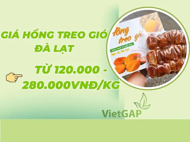 Giá Hồng Treo Gió Đà Lạt 2026: Bảng Giá Chi Tiết & Mẹo Mua Uy Tín Giá Hồng Treo Gió Đà Lạt 2026: Bảng Giá Chi Tiết & Mẹo Mua Uy Tín