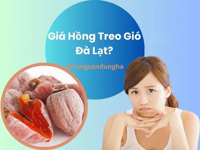 Giá Hồng Treo Gió Đà Lạt 2026: Bảng Giá Chi Tiết & Mẹo Mua Uy Tín Giá Hồng Treo Gió Đà Lạt 2026: Bảng Giá Chi Tiết & Mẹo Mua Uy Tín