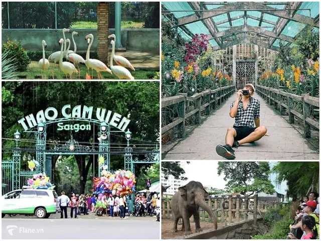 Giới Thiệu Về Thảo Cầm Viên: Nghề Chăm Sóc Thú Cưng Chuyên Nghiệp
