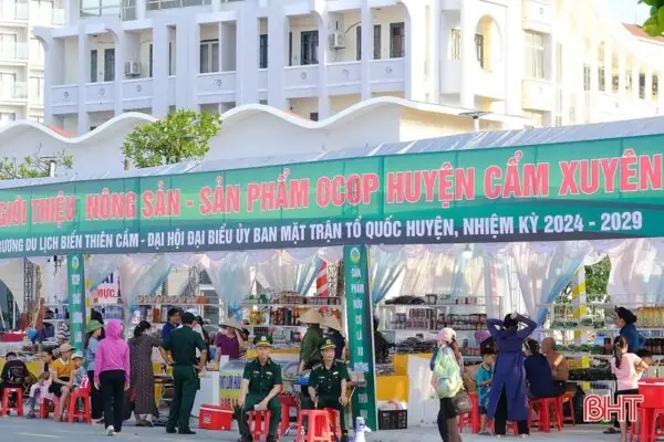Hình Ảnh Biển Thiên Cầm Hà Tĩnh: Khám Phá Vẻ Đẹp Hoang Sơ Hình Ảnh Biển Thiên Cầm Hà Tĩnh: Khám Phá Vẻ Đẹp Hoang Sơ