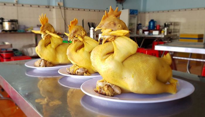 hình ảnh gà cúng đẹp - Hình 4