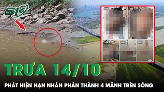 hình ảnh kinh dị trên sông hồng - Hình 1