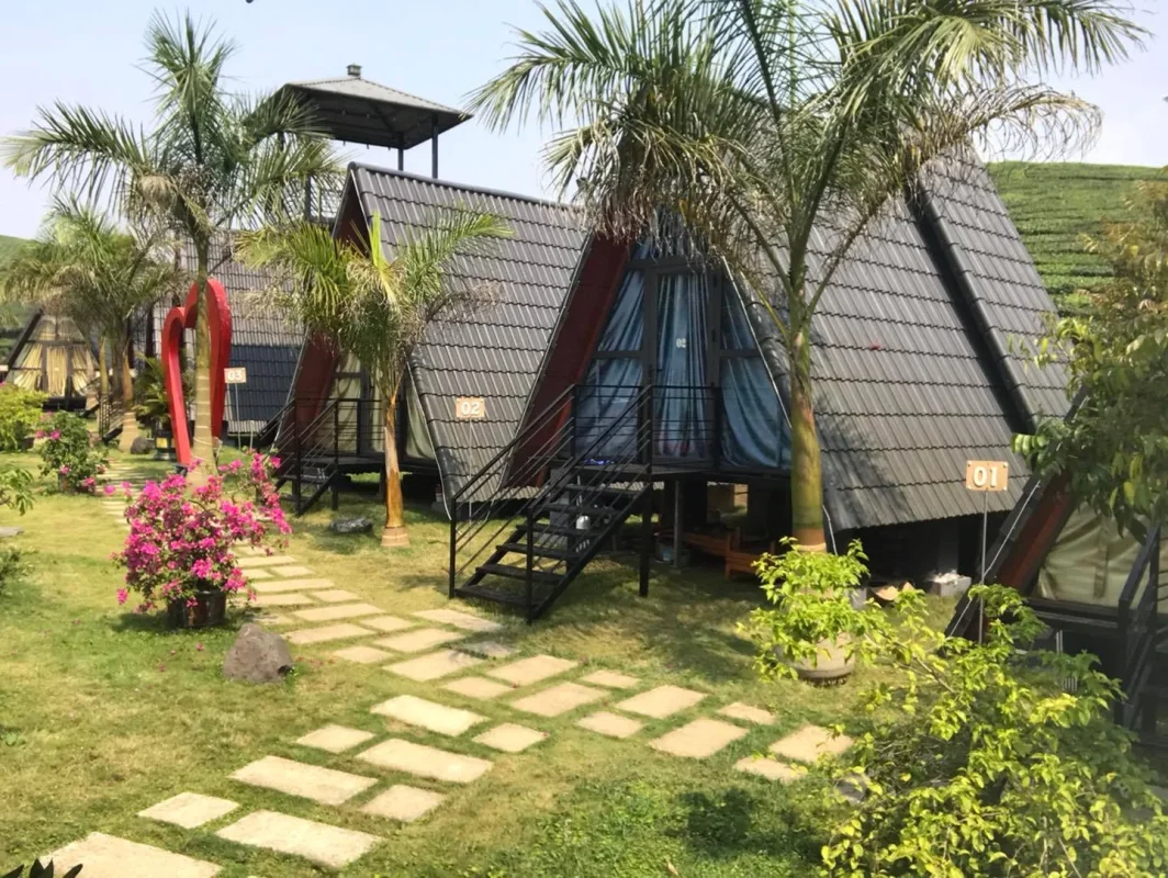 homestay thung lũng ba đồi chè - Hình 2