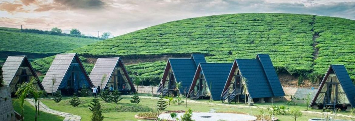 homestay thung lũng ba đồi chè - Hình 3