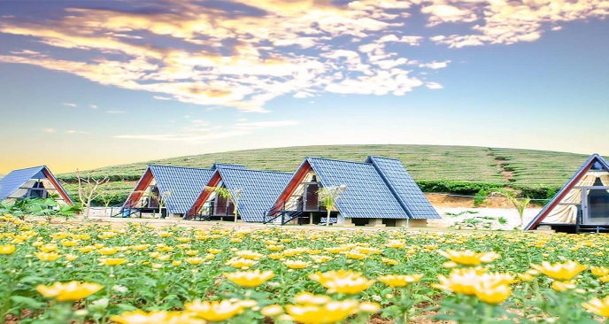 homestay thung lũng ba đồi chè - Hình 5