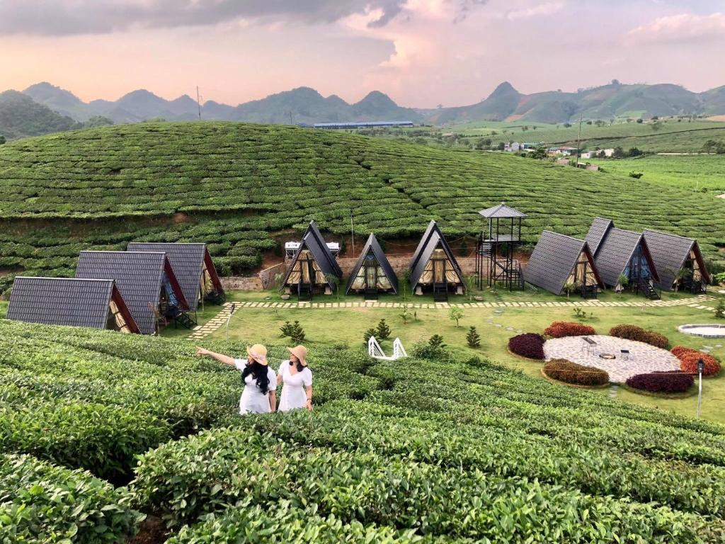 homestay thung lũng ba đồi chè