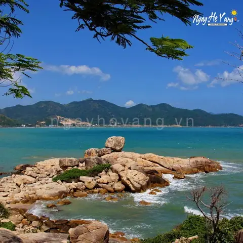 Hòn Chồng Nha Trang Là Gì? Từ Truyền Thuyết Đến Điểm Tham Quan Thực Tế Hòn Chồng Nha Trang Là Gì? Từ Truyền Thuyết Đến Điểm Tham Quan Thực Tế