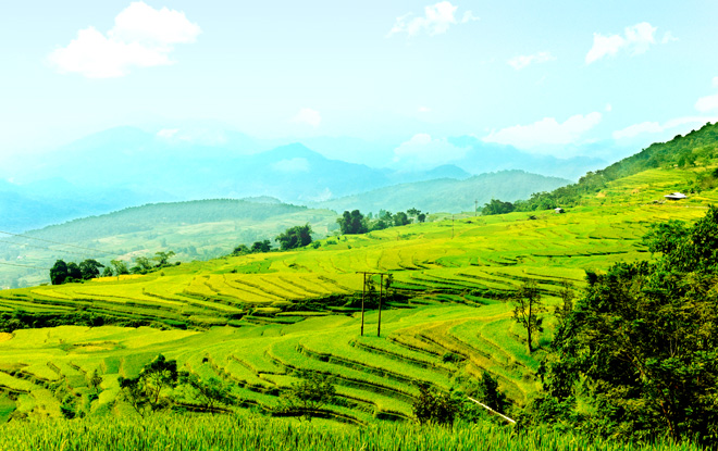 hồng thái na hang tuyên quang - Hình 1