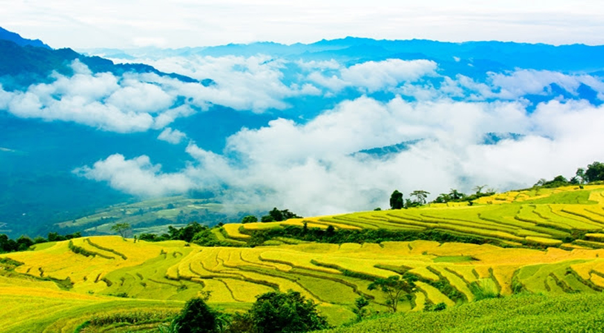 hồng thái na hang tuyên quang - Hình 2