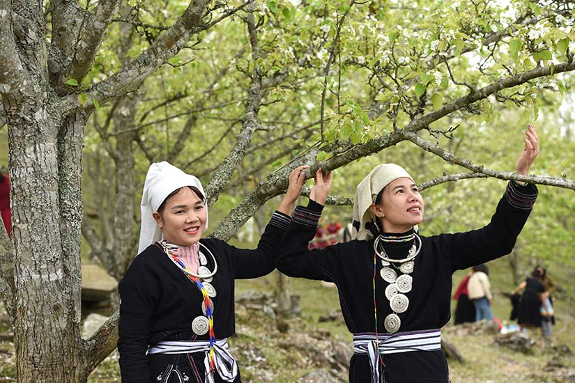 hồng thái na hang tuyên quang - Hình 3
