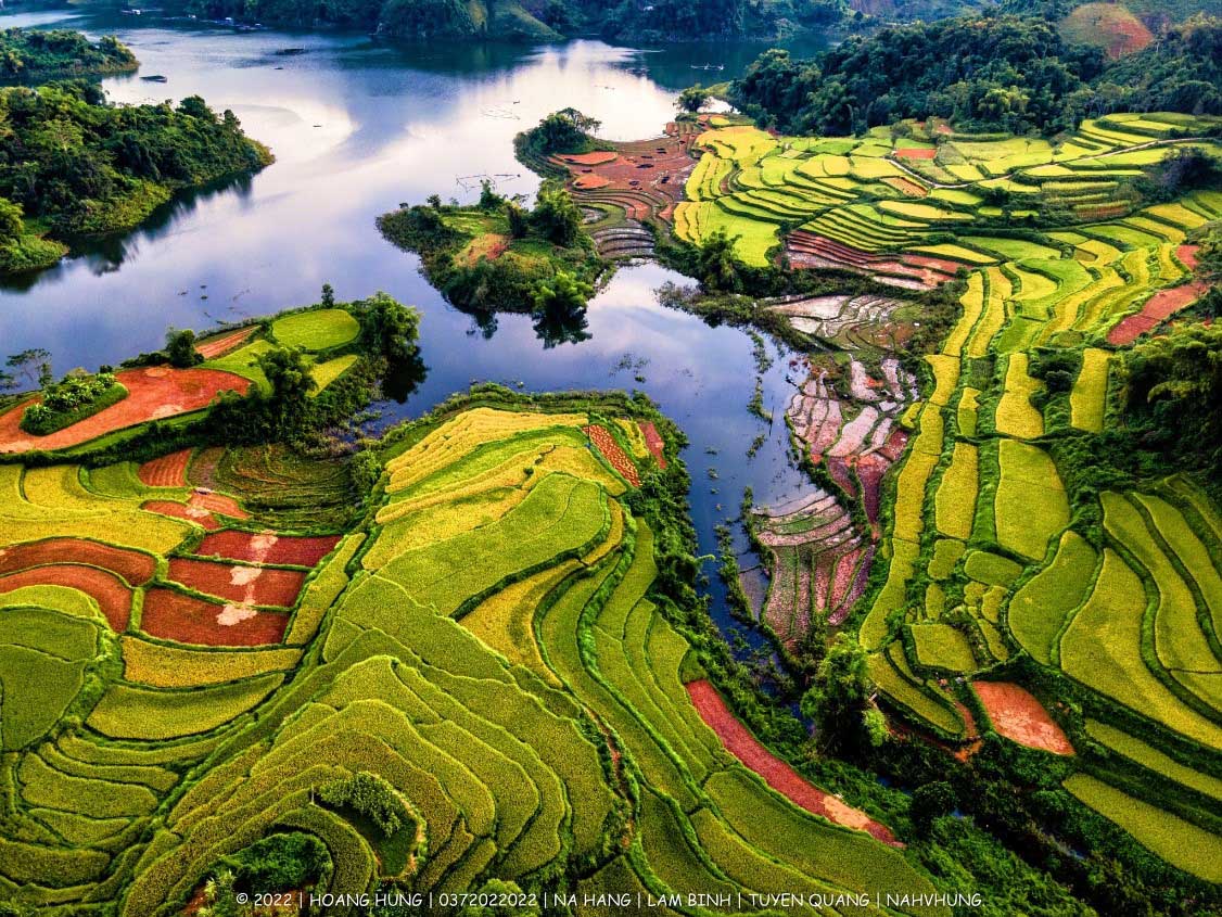 hồng thái na hang tuyên quang - Hình 4