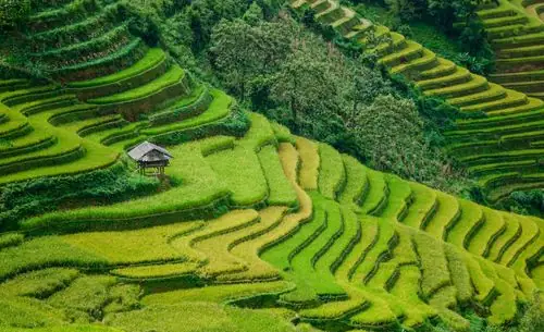 Top 5 Cách Đi Từ Hà Nội Đến Sapa: Đánh Giá Chi Tiết 2026