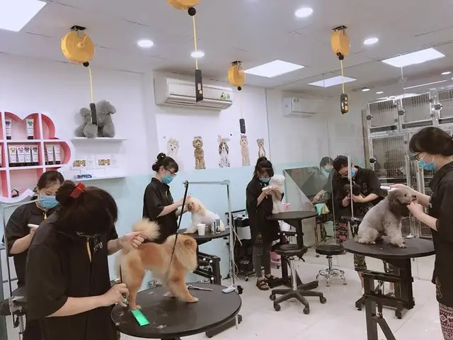 Top 10 Khách Sạn Chó Mèo Hà Nội Uy Tín Nhất