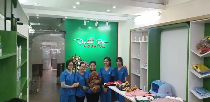 Top 10 Khách Sạn Chó Mèo Hà Nội Uy Tín Nhất