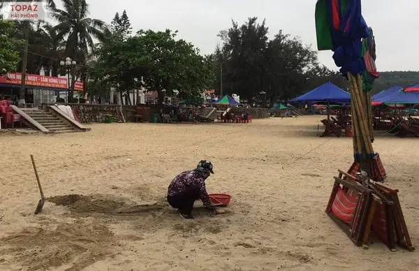 Khu 2 Đồ Sơn Hải Phòng: Trải Nghiệm Biển Xanh Đáng Nhớ Từ A Đến Z