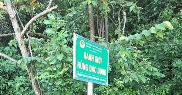 Khu Bảo Tồn Thiên Nhiên Sơn Trà: Điểm Sáng Sinh Thái Đà Nẵng Khu Bảo Tồn Thiên Nhiên Sơn Trà: Điểm Sáng Sinh Thái Đà Nẵng