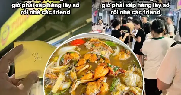 Review Lẩu Ếch Phong Ớ 72 Phó Đức Chính: Đánh Giá Thực Tế, So Sánh & Bí Quyết Thưởng Thức Review Lẩu Ếch Phong Ớ 72 Phó Đức Chính: Đánh Giá Thực Tế, So Sánh & Bí Quyết Thưởng Thức