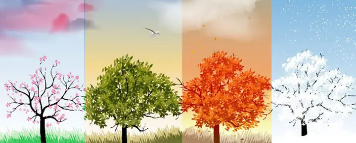 Mùa Hè Bắt Đầu Từ Tháng Nào? Tổng Tất Thông Tin Thời Tiết & Lịch Trình Mùa Hè Bắt Đầu Từ Tháng Nào? Tổng Tất Thông Tin Thời Tiết & Lịch Trình
