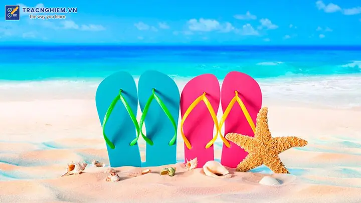 Mùa Hè Bắt Đầu Từ Tháng Nào? Tổng Tất Thông Tin Thời Tiết & Lịch Trình Mùa Hè Bắt Đầu Từ Tháng Nào? Tổng Tất Thông Tin Thời Tiết & Lịch Trình
