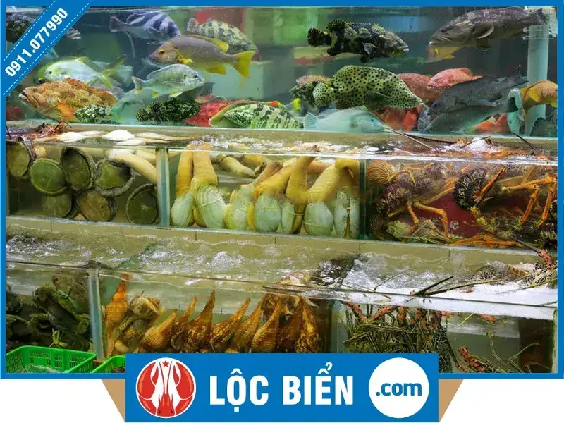 mua hải sản tươi sống ở hà nội - Hình 4