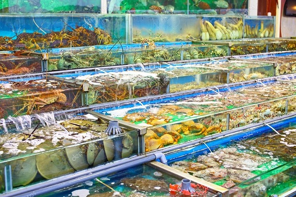 mua hải sản tươi sống ở hà nội