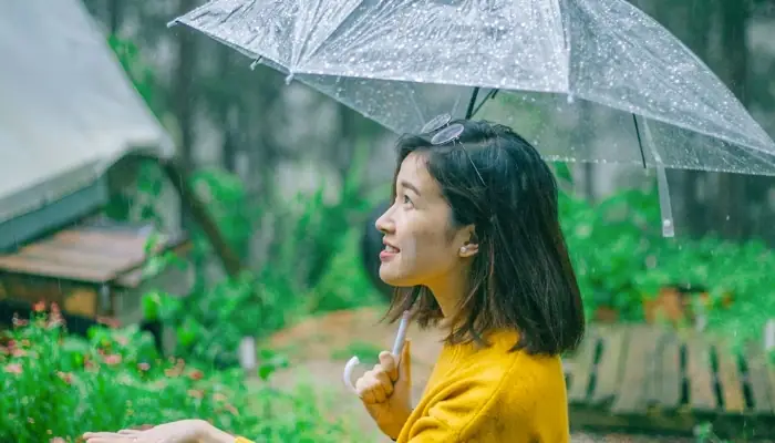 Mùa Mưa Đà Lạt: Thời Gian, Trải Nghiệm & Lưu Ý Cho Du Khách