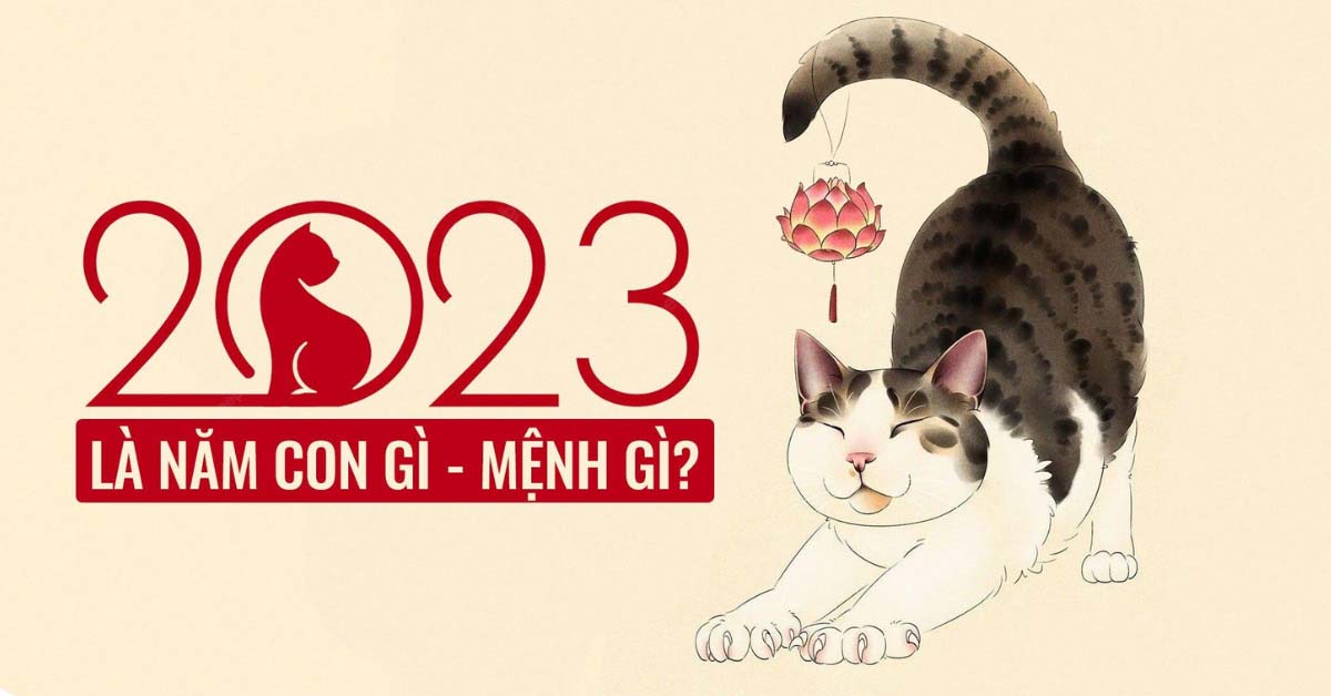 nam nay la nam con gi - Hình 5