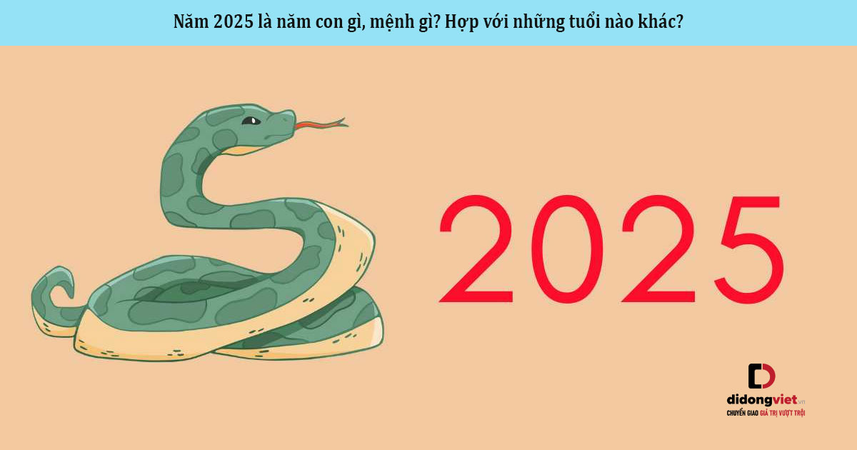 nam nay la nam con gi