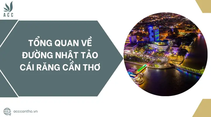 Đường Nhật Tảo Lê Bình Cái Răng Cần Thơ: Từ Di Sản Lịch Sử Đến Trung Tâm Sinh Hoạt Hiện Đại