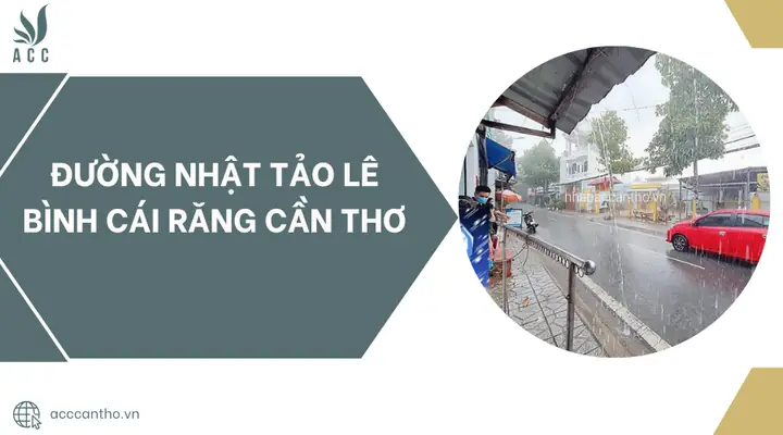 Đường Nhật Tảo Lê Bình Cái Răng Cần Thơ: Từ Di Sản Lịch Sử Đến Trung Tâm Sinh Hoạt Hiện Đại