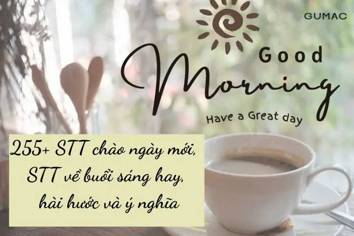 Những Lời Chào Hài Hước Nhất Bạn Nên Biết