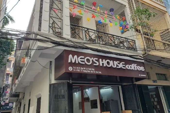 Quán Cà Phê Mèo Ở Hà Nội: 8 Địa Điểm Đáng Đến Nhất