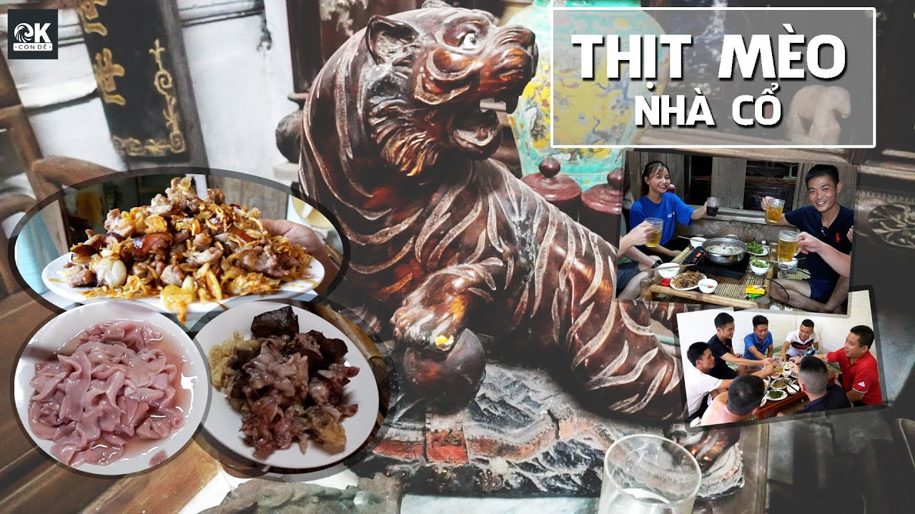 Thực đơn quán thịt mèo ngon ở Hà Nội hấp dẫn và đậm vị