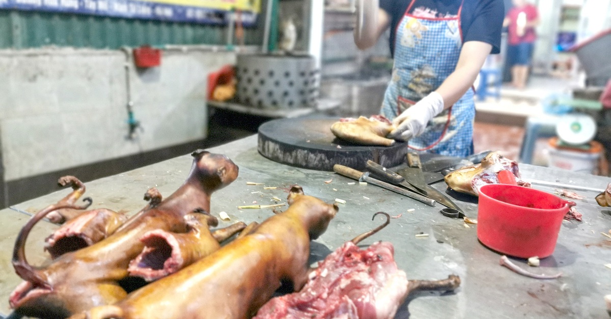 Hình ảnh quán thịt mèo ngon ở Hà Nội với món ăn đặc trưng