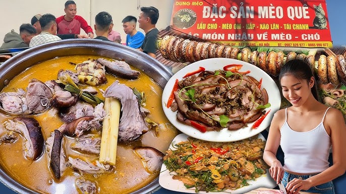 quán thịt mèo ngon ở hà nội