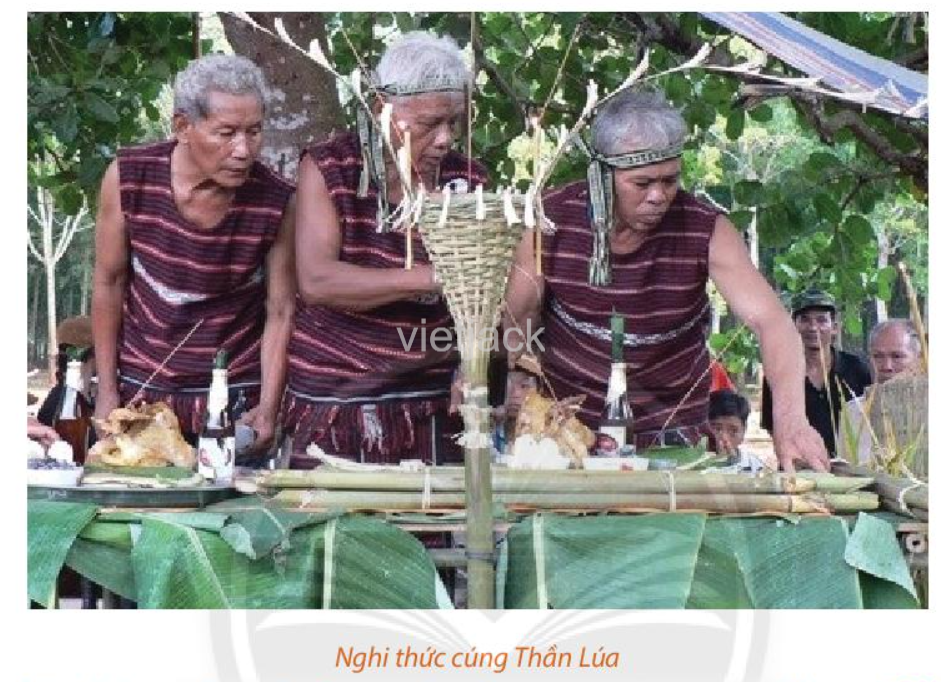 soạn bài lễ cúng thần lúa của người chơ-ro - Hình 2