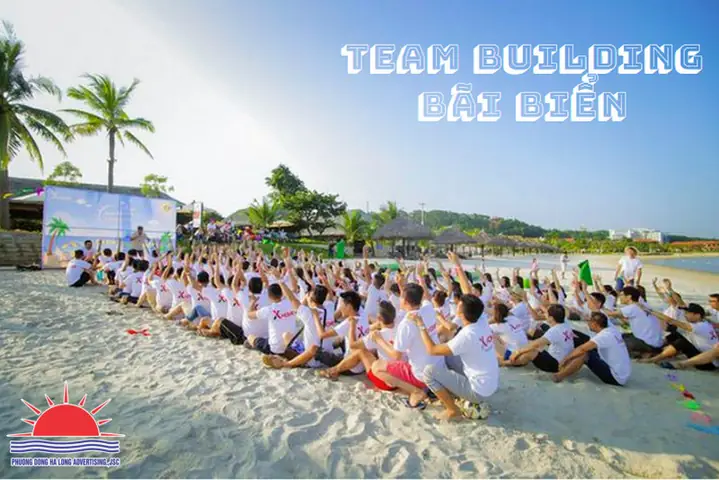 Team Building Quảng Ninh Không Chê: Top 5 Địa Chỉ Uy Tín Nhất 2026
