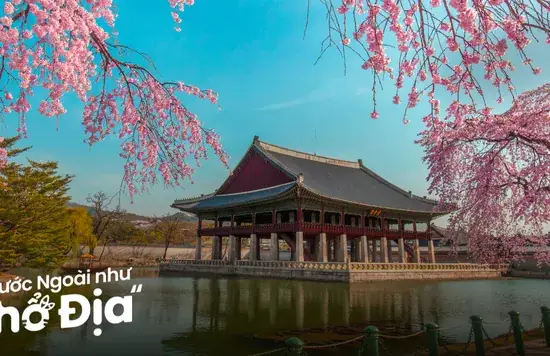 Tháng 3 Đi Du Lịch Ở Đâu? Cẩm Nang 19 Điểm Đến Đẹp Nhất