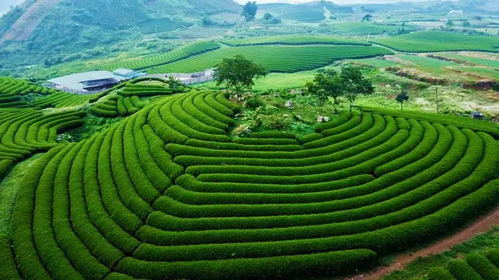 Tháng 7 Nên Đi Du Lịch Ở Đâu Miền Bắc? 12 Điểm Đến Đẹp Nhất 2026