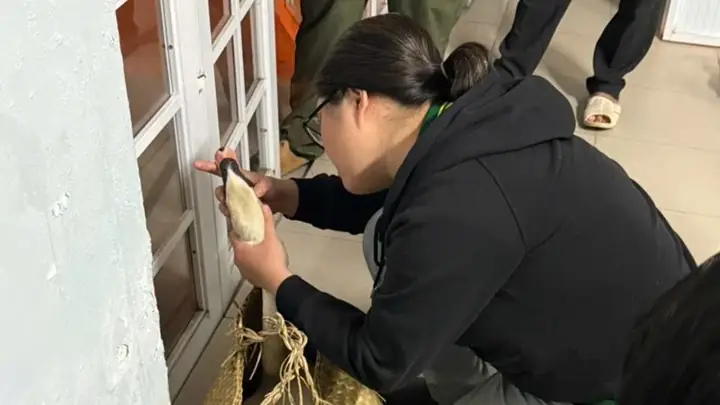 Thảo Cầm Viên Bảo Tàng Hồ Chí Minh Tp.hcm: Điểm Đến Lịch Sử Ý Nghĩa Cho Hành Trình Khám Phá
