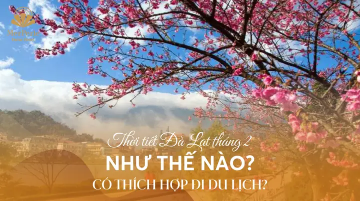Thời Tiết Đà Lạt Tháng 2: Dự Báo Chi Tiết Và Top Quán Cafe Chill Đẹp Nhất Thời Tiết Đà Lạt Tháng 2: Dự Báo Chi Tiết Và Top Quán Cafe Chill Đẹp Nhất