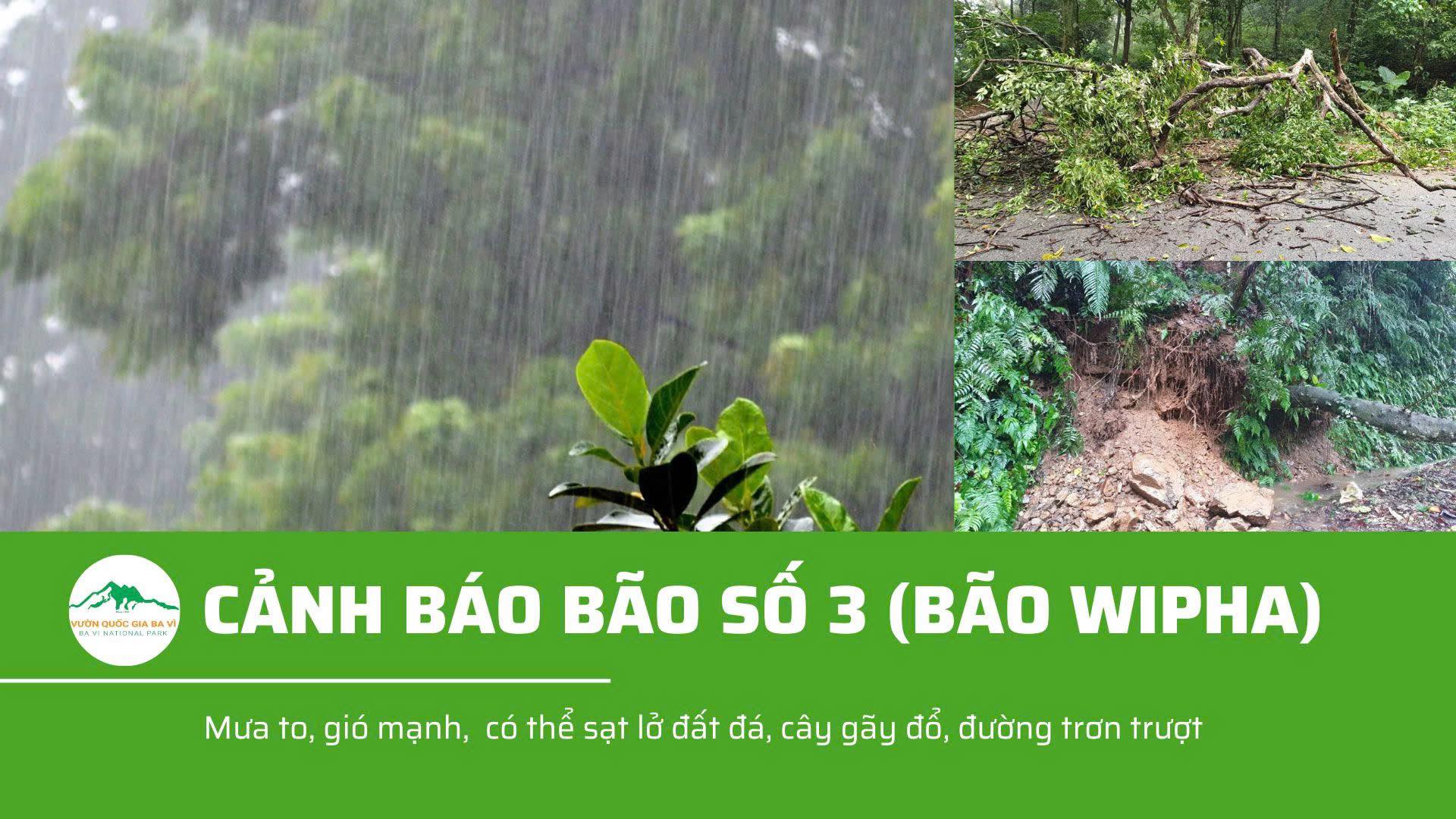 thời tiết vườn quốc gia ba vì - Hình 1