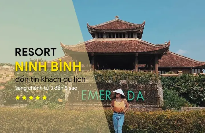 Thuê Xe Có Lái Tại Hà Nội: Đánh Giá Chi Tiết Dịch Vụ Taxigo