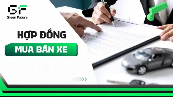 Thuê Xe Tự Lái Hà Đông: So Sánh Chi Tiết 5 Nhà Cung Cấp & Bí Quyết Chọn Dịch Vụ Tốt Nhất Thuê Xe Tự Lái Hà Đông: So Sánh Chi Tiết 5 Nhà Cung Cấp & Bí Quyết Chọn Dịch Vụ Tốt Nhất