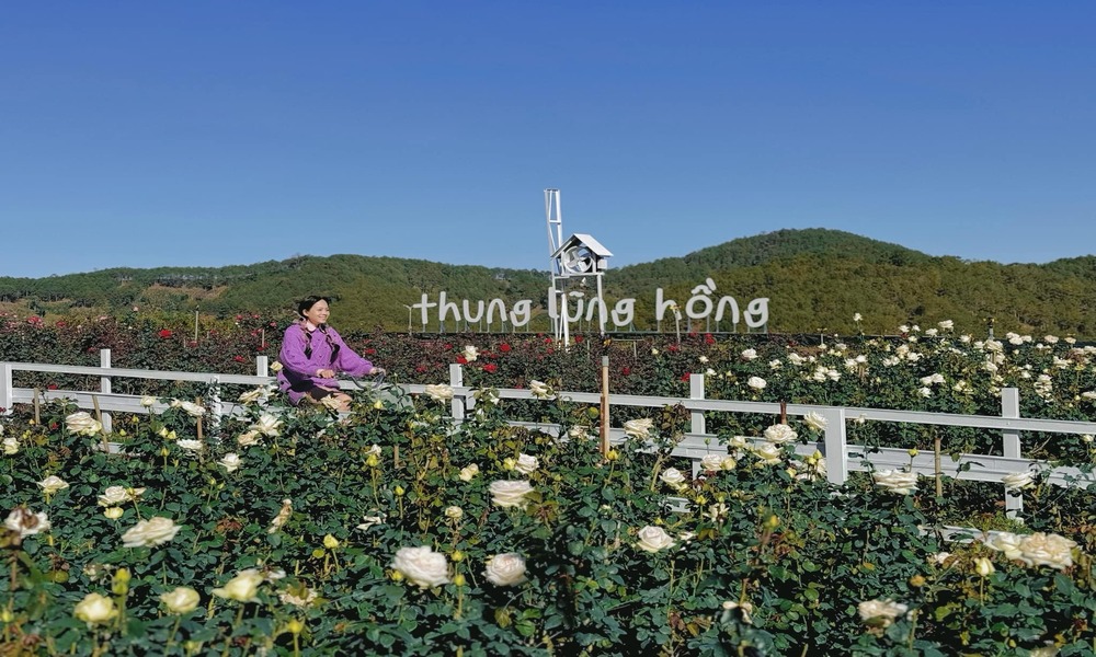 thung lũng hoa hồng đà lạt