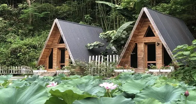 Thung Lũng Hoa Hồng Điện Biên Phủ: Hành Trình Khám Phá Thiên Đường Hoa
