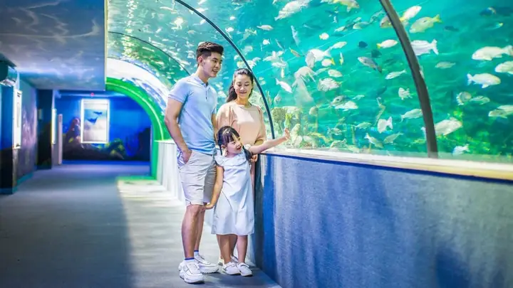 Thuỷ Cung Ở Hồ Chí Minh: Thông Tin Chi Tiết Và Hướng Dẫn Tham Quan