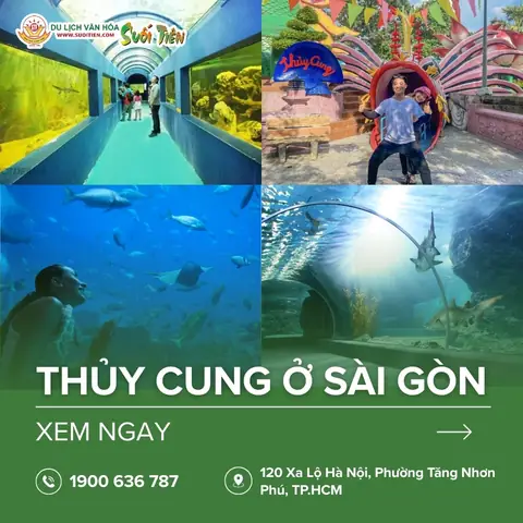 Thuỷ Cung Ở Hồ Chí Minh: Thông Tin Chi Tiết Và Hướng Dẫn Tham Quan